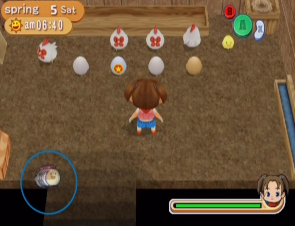 Image Chickens MM.png The Harvest Moon Wiki FANDOM powered by Wikia