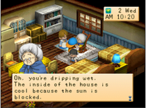 Ellen's House