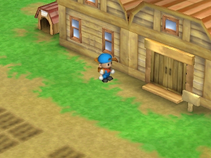Barn