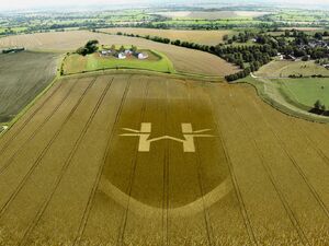 Hw-funny.pho.to crop circle