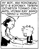Раненый енот