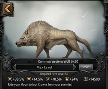 Western Wolf