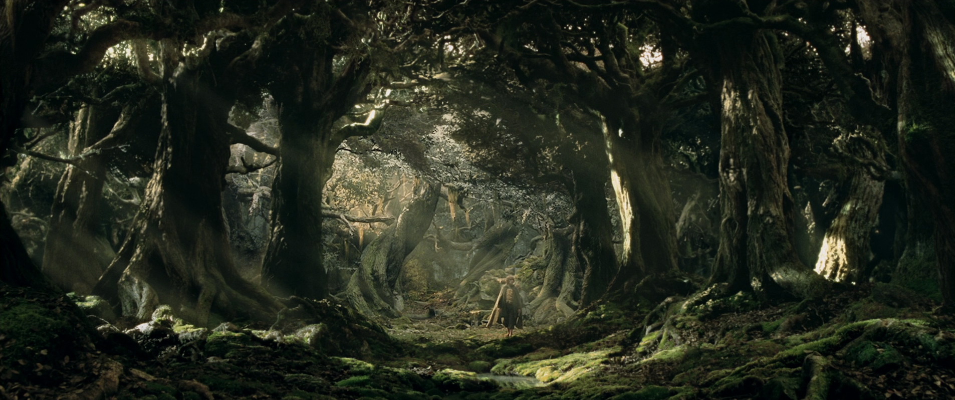 fangorn-forest-middle-earth-films-wiki-fandom-powered-by-wikia