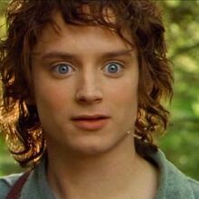 Frodo Pytlík | Hobit Wiki | Fandom