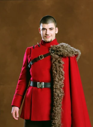 Viktor Krum | Hogwarts Life Wiki | Fandom