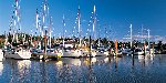 Yacht Club