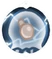 HJ Uoma