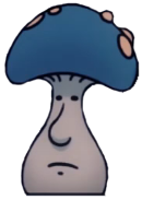 Mister Mushroom