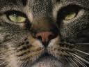 Images0