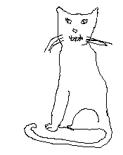 Medicine cat female12