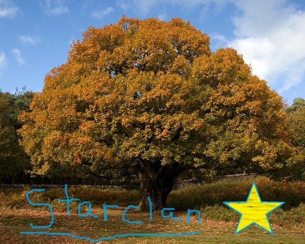 File:Oak-tree-Starclan.jpg