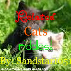 Related cats Riddles
