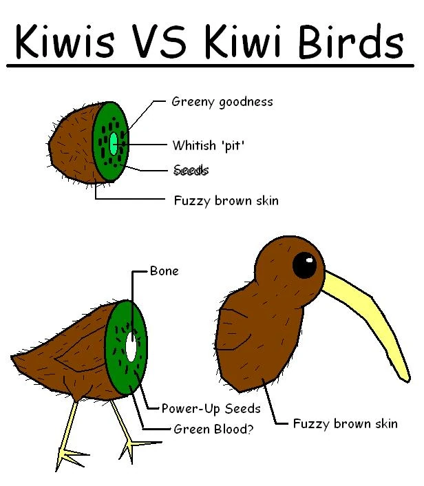 Image Kiwi VS Kiwi Bird by shibbynempahcold.jpg Holt Rhulain Wiki