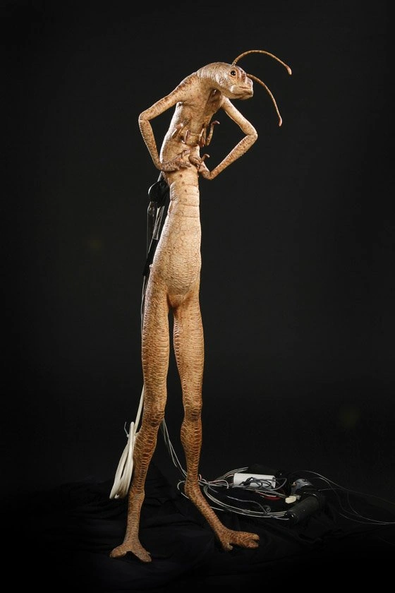 Ciclista asegura haber captado un gusano gigante completamente erguido similar al de Men in Black %name %name Ciclista asegura haber captado un gusano gigante completamente erguido similar al de Men in Black