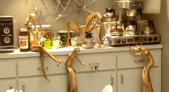 Wiki HombresdenegroMIB | FANDOM powered by Wikia