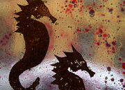 Seahorses