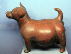 Colima Dog Perro