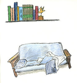 Bookshelf and Futon