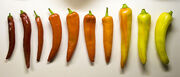 Pepper continuum
