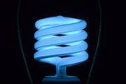 CFL Bulb