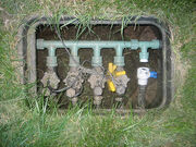 The valves.