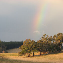 Rainbow's end