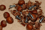 Nuts and Bolts!