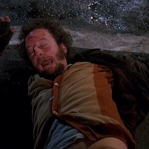 Home Alone 2 Lost In New York Home Alone Wiki Fandom
