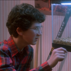 Tarantula Home Alone Wiki Fandom