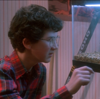 Tarantula Home Alone Wiki Fandom