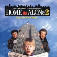 24+ Home Alone 2 Kid Name PNG