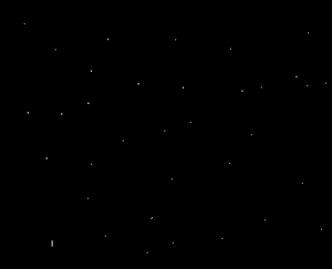 Stars