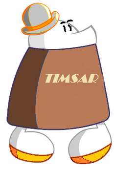 Timsar