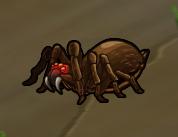 Infused Spider