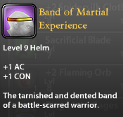 Band of Martial Experience