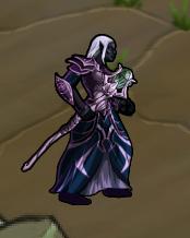 Drow Arachnomancer
