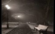 Black and white park