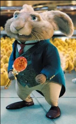 Mr Bunny HOP Wiki Fandom mr-bunny-hop-wiki-fandom