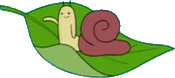 Snail