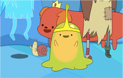 Snail-in-POL