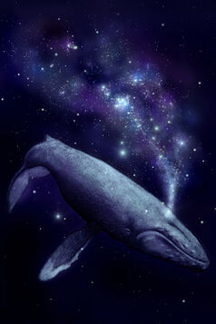 Space-whale
