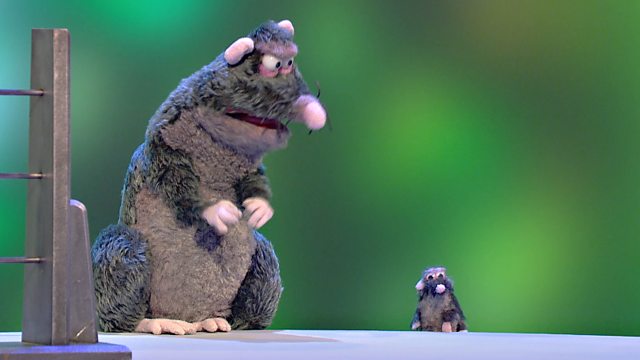 Scrappus Rattus | Horrible Histories Wiki | FANDOM powered by Wikia