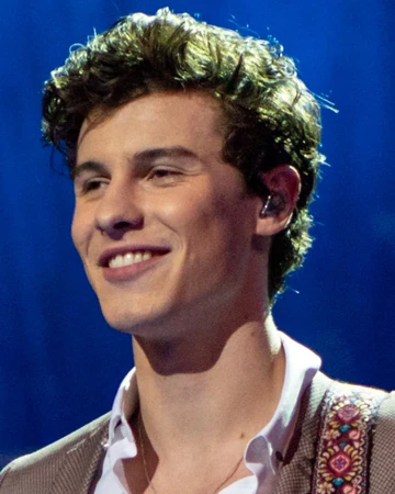 Shawn Mendes Horrible Music Songs Wiki Fandom