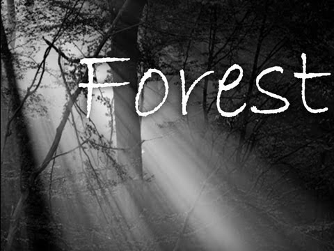 Forst Spiele Forst Spiele