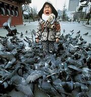 Kid gets mauled by pigeons