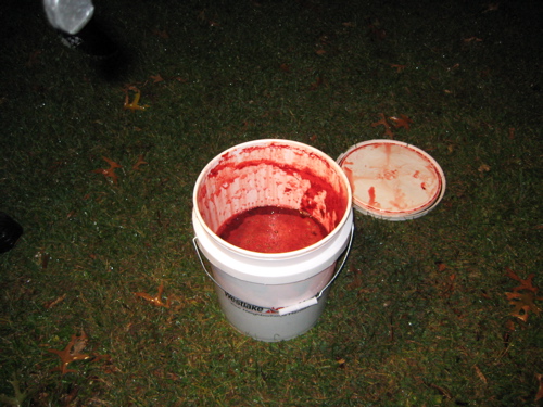 Bucket Of Blood Bucket Of Blood