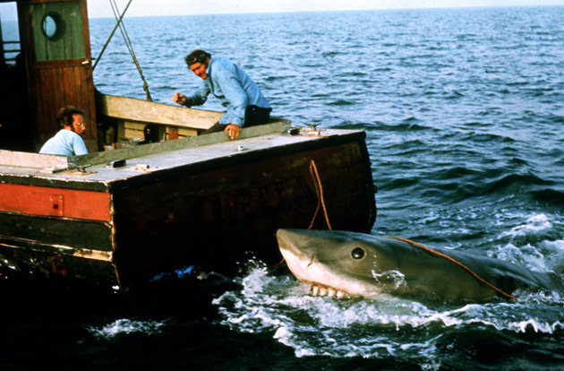 Bruce The Shark (Jaws) | Horror Film Wiki | FANDOM Powered By Wikia