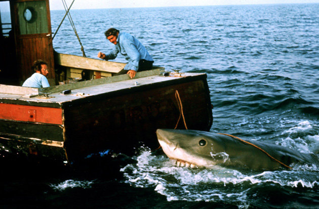 Bruce the Shark (Jaws) | Horror Film Wiki | FANDOM powered by Wikia