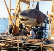 Bruce the Shark (Jaws) | Horror Film Wiki | FANDOM powered by Wikia