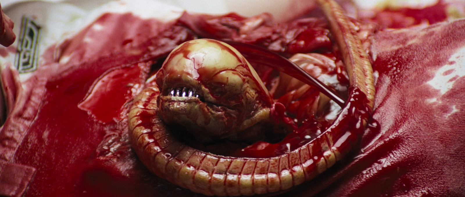 Image - Alien 1979 Ridley Scott.png | Horror Film Wiki ...